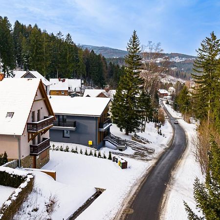 Wonder Home - Villa Vika Z Ogrodem, Z Miejscem Na Grilla I Ognisko Karpacz Extérieur photo